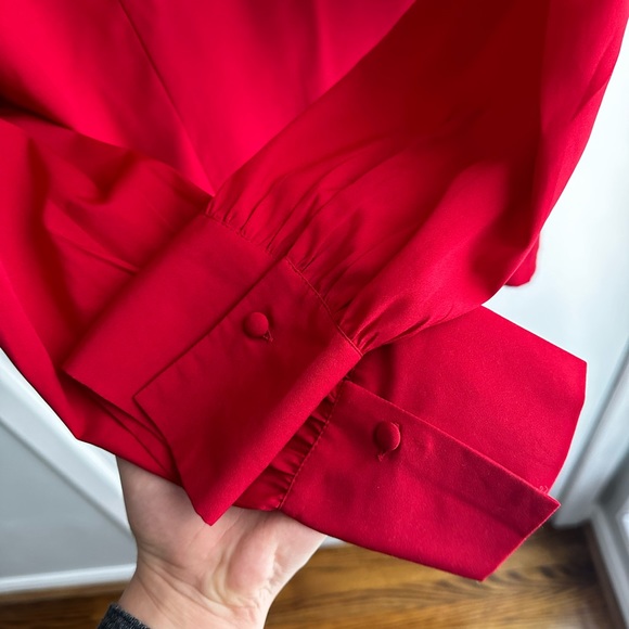 Banana Republic Red Blouse with Pussy Bow - Picture 5 of 6